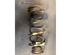 Coil Spring FIAT GRANDE PUNTO (199_), FIAT PUNTO EVO (199_), FIAT PUNTO (199_), ABARTH GRANDE PUNTO