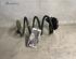 Coil Spring RENAULT CLIO III (BR0/1, CR0/1), RENAULT CLIO IV (BH_), RENAULT CLIO II (BB_, CB_)