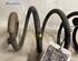 Coil Spring RENAULT CLIO III (BR0/1, CR0/1), RENAULT CLIO IV (BH_), RENAULT CLIO II (BB_, CB_)