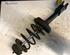 Suspension Strut RENAULT CLIO II (BB_, CB_), RENAULT THALIA I (LB_)