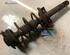 Suspension Strut RENAULT MEGANE II (BM0/1_, CM0/1_), RENAULT MEGANE II Saloon (LM0/1_)