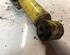 Suspension Strut VW GOLF I Cabriolet (155)