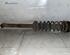 Suspension Strut FORD FIESTA IV (JA_, JB_)