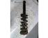 Suspension Strut NISSAN ALMERA I Hatchback (N15), MERCEDES-BENZ HECKFLOSSE (W111, W112)