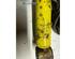 Suspension Strut VW GOLF I Cabriolet (155)