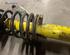 Suspension Strut VW GOLF I Cabriolet (155)