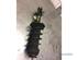 Suspension Strut FIAT GRANDE PUNTO (199_), FIAT PUNTO (199_), FIAT PUNTO EVO (199_)