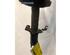 Suspension Strut RENAULT MEGANE Scenic (JA0/1_)