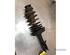 Suspension Strut RENAULT TWINGO II (CN0_), RENAULT CLIO II (BB_, CB_), RENAULT CLIO III (BR0/1, CR0/1)