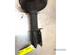 Suspension Strut RENAULT TWINGO II (CN0_), RENAULT CLIO II (BB_, CB_), RENAULT CLIO III (BR0/1, CR0/1)