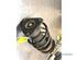 Suspension Strut FORD C-MAX (DM2), FORD FOCUS C-MAX (DM2), FORD FOCUS II Turnier (DA_, FFS, DS)