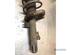 Suspension Strut FORD C-MAX (DM2), FORD FOCUS C-MAX (DM2), FORD FOCUS II Turnier (DA_, FFS, DS)