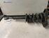 Suspension Strut AUDI A4 (8D2, B5)