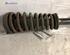 Suspension Strut ALFA ROMEO 156 Sportwagon (932_)