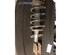 Suspension Strut RENAULT VEL SATIS (BJ0_)