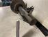 Suspension Strut PEUGEOT 5008 (0U_, 0E_)