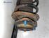 Suspension Strut FORD ESCORT '91 Express (AVF), FORD ESCORT '95 Van (AVL)