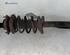 Suspension Strut FORD ESCORT '91 Express (AVF), FORD ESCORT '95 Van (AVL)