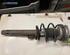 Suspension Strut BMW 3 (E46)