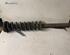 Suspension Strut RENAULT TWINGO I (C06_)