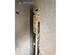 Suspension Strut RENAULT TWINGO I (C06_)