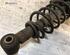 Suspension Strut SAAB 9-5 (YS3E)