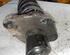 Suspension Strut VW PASSAT Variant (3B5)