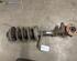 Suspension Strut PEUGEOT 106 I (1A, 1C)