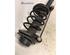 Suspension Strut PEUGEOT 206 Hatchback (2A/C)