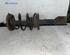 Suspension Strut RENAULT MEGANE Scenic (JA0/1_)