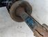 Suspension Strut RENAULT MEGANE Scenic (JA0/1_)