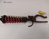 Suspension Strut HONDA CRX III (EH, EG)