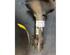 Suspension Strut MG MG ZR, ROVER 25 Hatchback (RF)