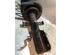 Suspension Strut RENAULT CAPTUR I (J5_, H5_), RENAULT CLIO IV (BH_), RENAULT CLIO IV Grandtour (KH_)