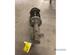 Suspension Strut VW SCIROCCO (53B)