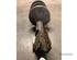 Suspension Strut SUZUKI LIANA Hatchback