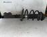 Suspension Strut FORD KA (RU8)