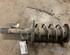 Suspension Strut FORD GALAXY (WA6), FORD S-MAX (WA6)