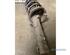 Suspension Strut FORD TRANSIT CONNECT (P65_, P70_, P80_)