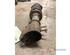 Suspension Strut DAEWOO MATIZ (M100, M150), CHEVROLET MATIZ (M200, M250)