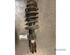 Suspension Strut SAAB 9-5 (YS3E)