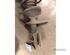 Suspension Strut LAND ROVER FREELANDER (L314), LAND ROVER FREELANDER Soft Top (L314)