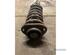 Suspension Strut DAIHATSU GRAN MOVE (G3)