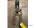 Suspension Strut MITSUBISHI GALANT VI Estate (EA_)