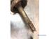 Suspension Strut RENAULT 19 II (B/C53_)