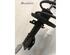 Suspension Strut RENAULT MEGANE III Grandtour (KZ0/1)