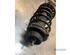 Suspension Strut FIAT BRAVO II (198_)