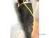 Suspension Strut LAND ROVER RANGE ROVER III (L322)