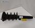 Suspension Strut BMW 1 (F20), BMW 3 Touring (F31)