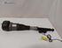 Suspension Strut MERCEDES-BENZ S-CLASS (W221)